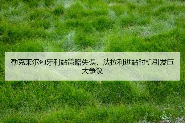 lei-ke-lai-er-xiong-ya-li-zhan-ce-lve-shi-wu-fa-la-li-jin-zhan-shi-ji-yin-fa-ju-da-zheng-yi-2-281.jpg