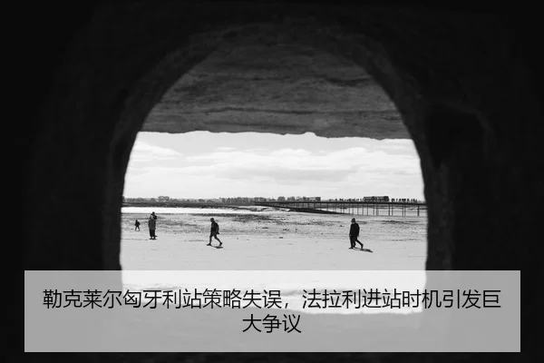lei-ke-lai-er-xiong-ya-li-zhan-ce-lve-shi-wu-fa-la-li-jin-zhan-shi-ji-yin-fa-ju-da-zheng-yi-3-215.jpg