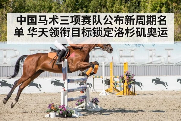 show jumping competition